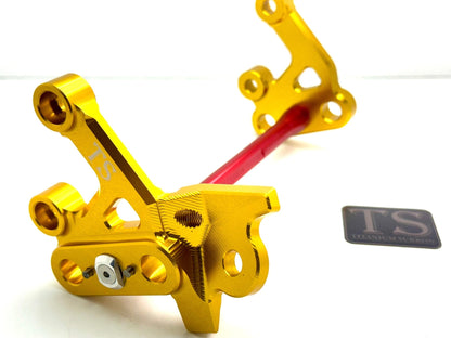 Custom CNC Aluminum Footpeg Bracket Assembly E-Ride Pro